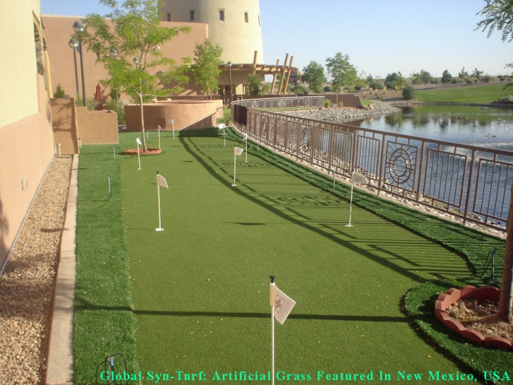 Green Lawn Saticoy, California Home Putting Green, Backyard Landscape Ideas