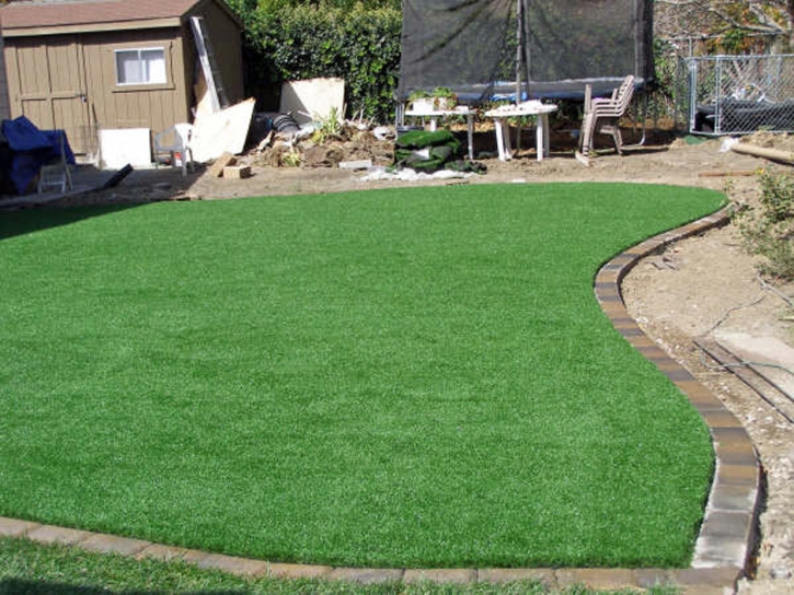 Green Lawn South Taft, California Design Ideas, Backyard Landscaping