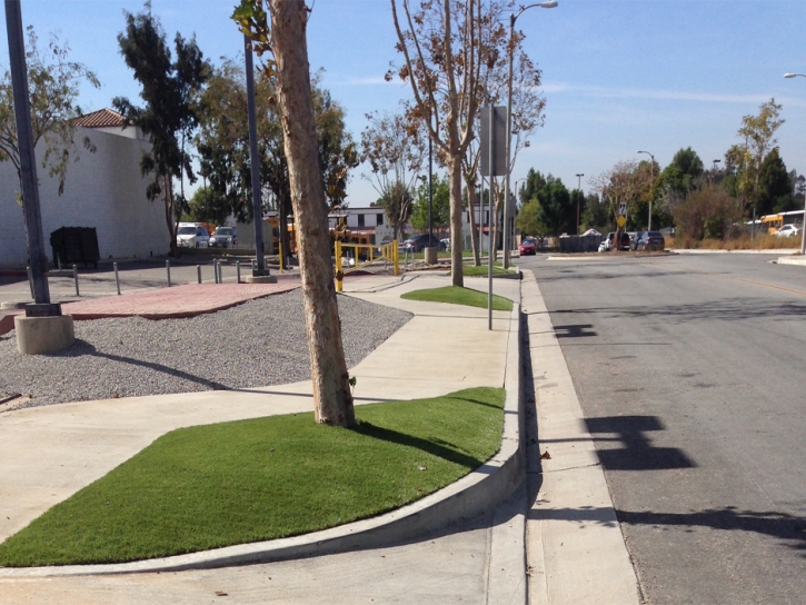 How To Install Artificial Grass Oxnard Shores, California Backyard Playground, Commercial Landscape