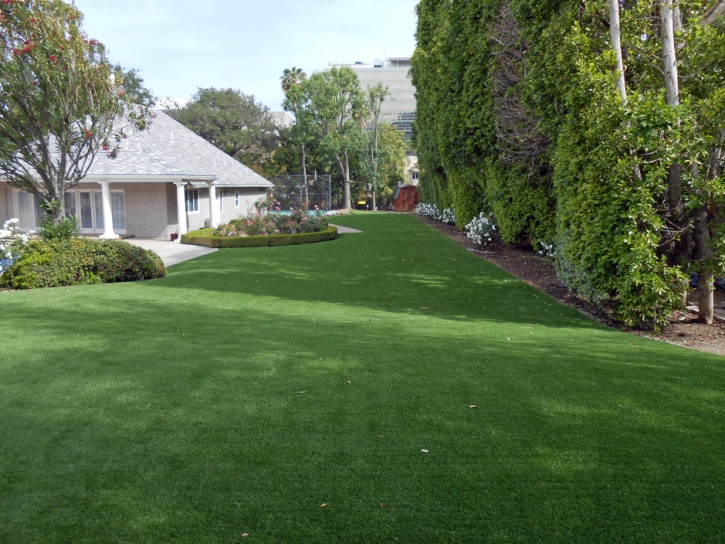 How To Install Artificial Grass Pine Mountain Club, California Fake Grass For Dogs, Small Front Yard Landscaping