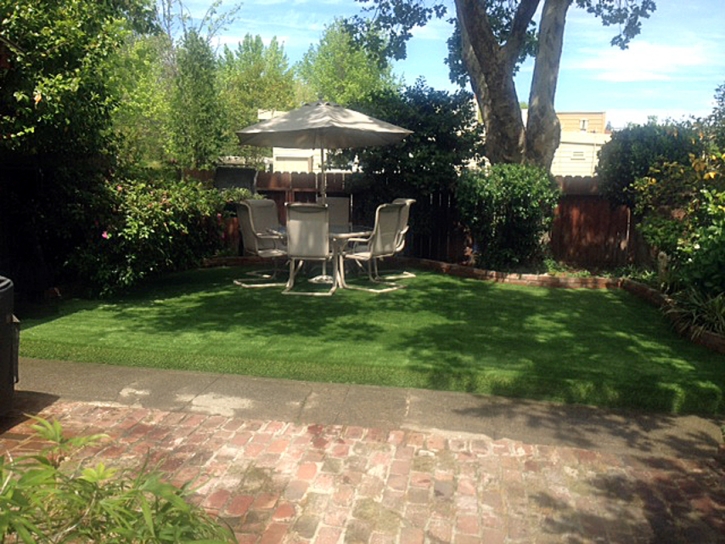 Installing Artificial Grass Arroyo Grande, California Backyard Playground, Small Backyard Ideas