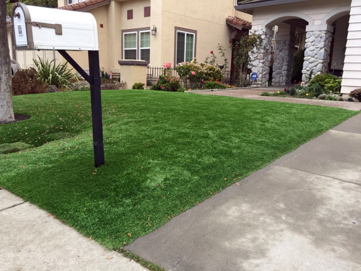 Installing Artificial Grass Century City, California Design Ideas, Front Yard Ideas