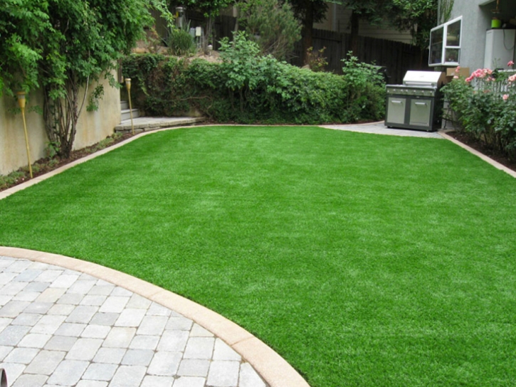 Installing Artificial Grass Santa Paula, California Design Ideas