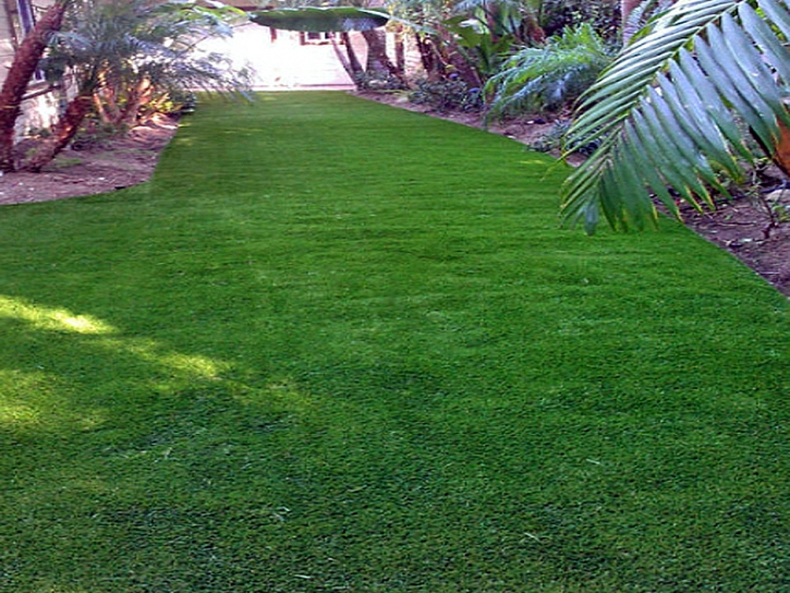 Installing Artificial Grass View Park-Windsor Hills, California Garden Ideas, Backyard