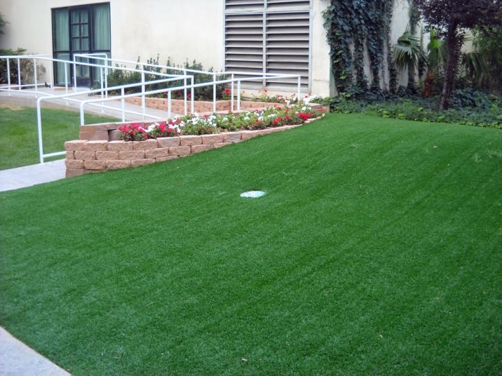 Lawn Services Isla Vista, California Outdoor Putting Green, Landscaping Ideas For Front Yard