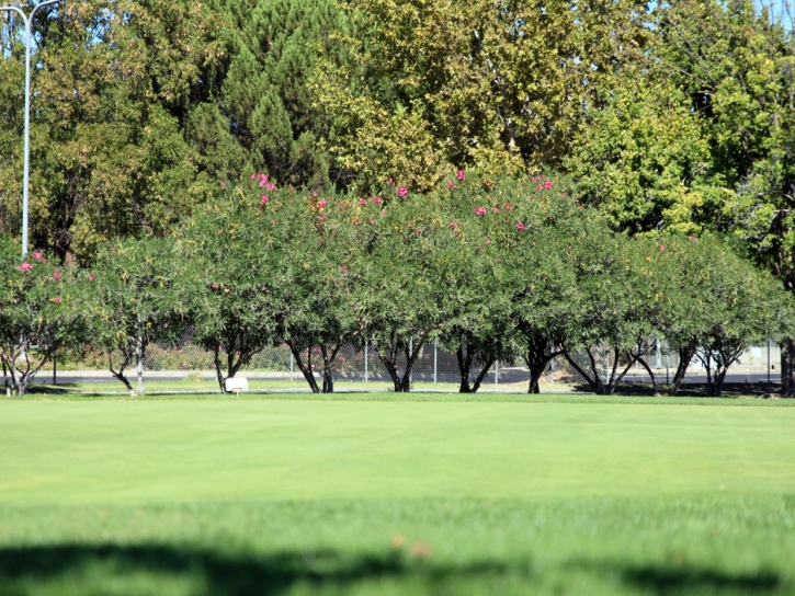 Lawn Services Quartz Hill, California Outdoor Putting Green