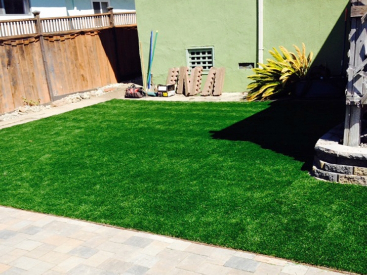 Outdoor Carpet Cuyama, California Dog Grass, Backyard