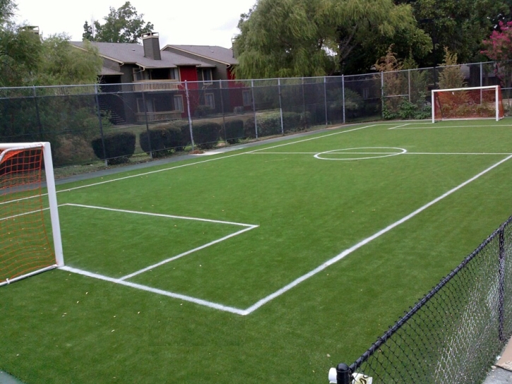 Outdoor Carpet Greenfield, California Backyard Soccer, Commercial Landscape