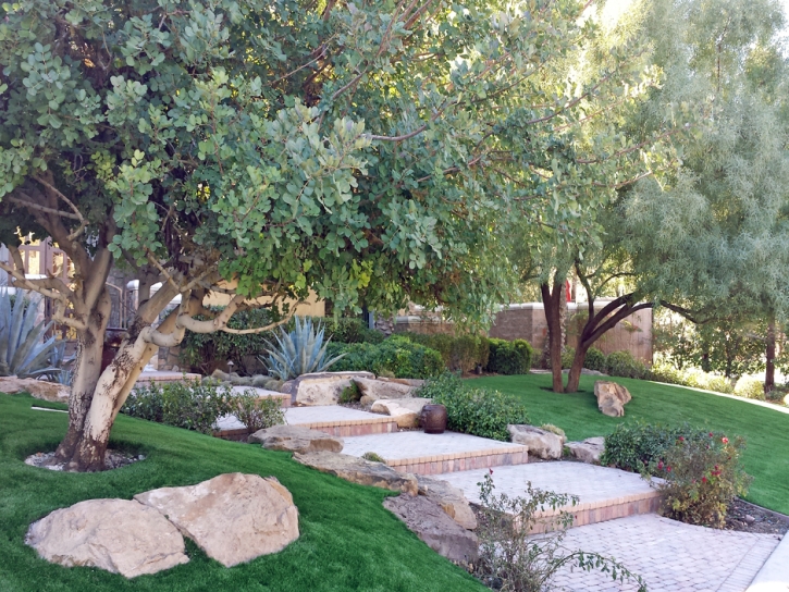 Outdoor Carpet Los Berros, California Landscape Ideas, Backyards