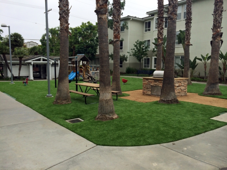 Outdoor Carpet Taft Heights, California Garden Ideas, Commercial Landscape