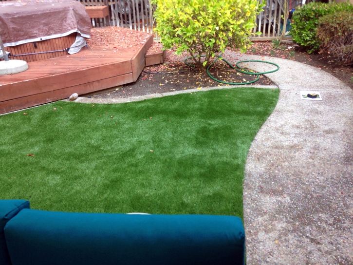 Outdoor Carpet Van Nuys, California Landscaping, Backyard Garden Ideas