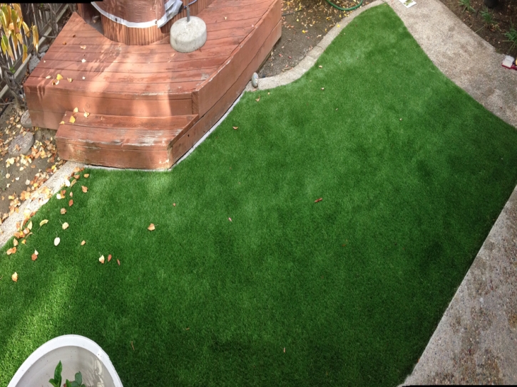 Plastic Grass Burbank, California City Landscape, Backyard Design