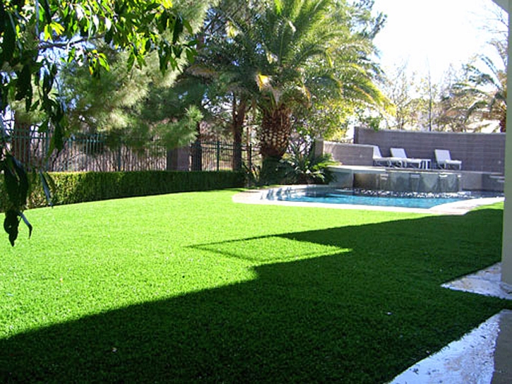 Plastic Grass Buttonwillow, California Landscaping Business, Backyard Makeover