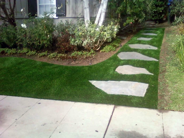 Plastic Grass Diamond Bar, California Landscape Design, Front Yard Design