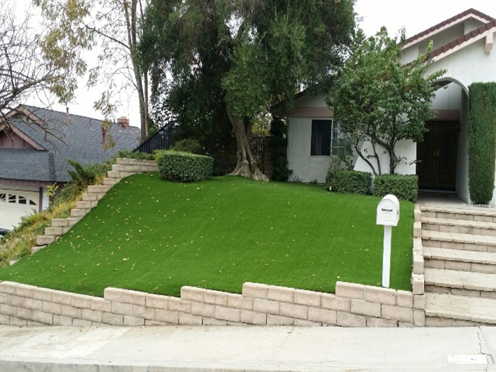 Plastic Grass Fellows, California Landscaping Business, Small Front Yard Landscaping