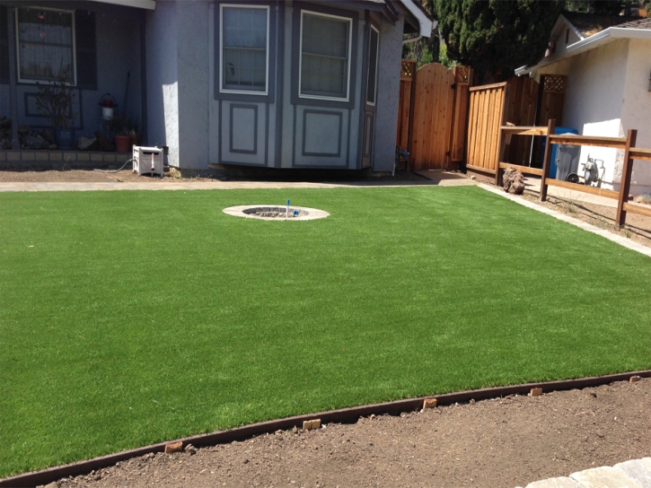 Plastic Grass Hawaiian Gardens, California Home And Garden, Backyard Landscape Ideas