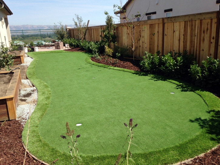 Plastic Grass Ladera Heights, California Rooftop, Backyard Landscaping Ideas