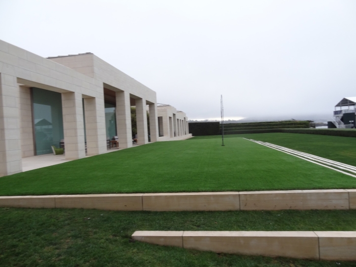 Plastic Grass Mission Canyon, California Lawn And Garden, Commercial Landscape