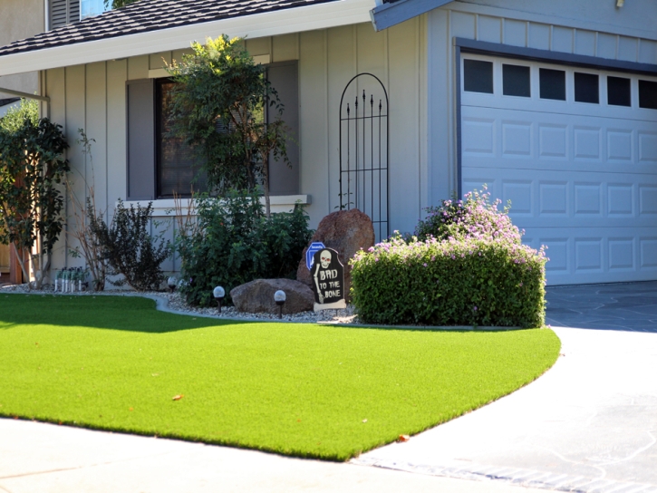 Plastic Grass Monterey Park, California Design Ideas, Front Yard Landscape Ideas