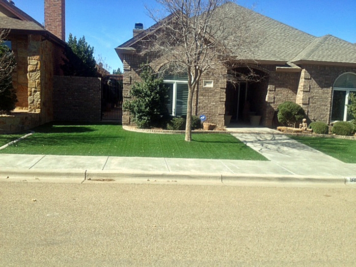 Plastic Grass Nipomo, California Gardeners, Small Front Yard Landscaping