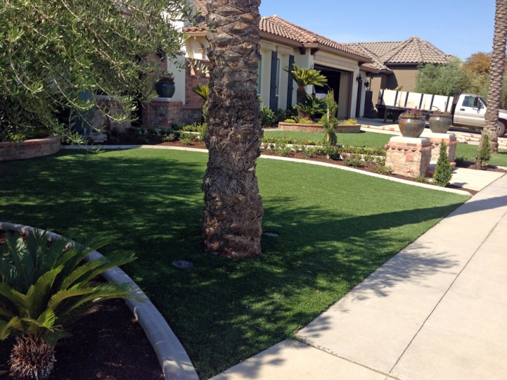 Plastic Grass South Pasadena, California Landscaping Business, Front Yard Landscape Ideas