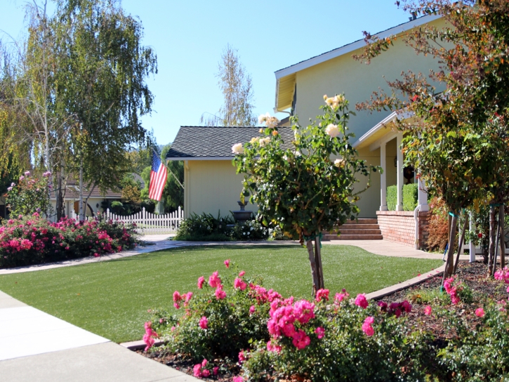 Plastic Grass Vincent, California Landscape Design, Front Yard Landscaping