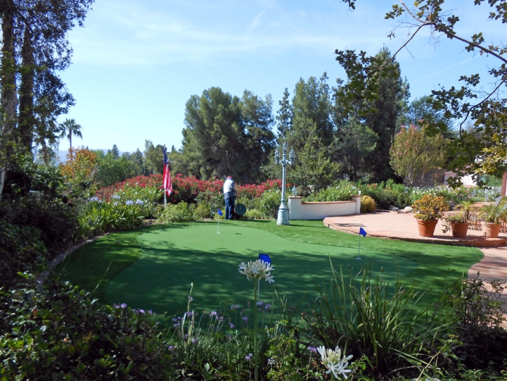 Plastic Grass Woodland Hills, California Landscape Rock, Small Backyard Ideas