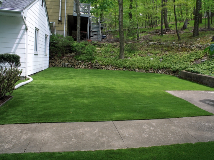 Plastic Grass Yorba Linda, California Landscaping, Front Yard Landscaping Ideas