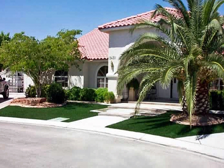 Synthetic Grass Alondra Park, California Backyard Deck Ideas, Front Yard