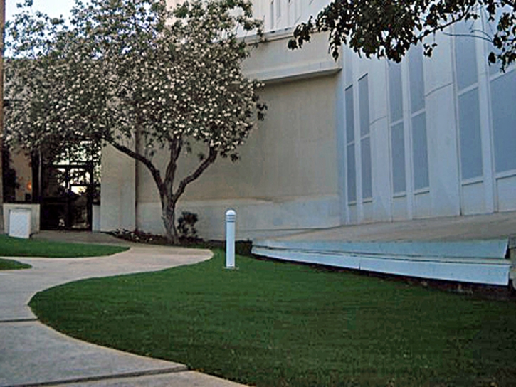 Synthetic Grass Artesia, California City Landscape, Front Yard