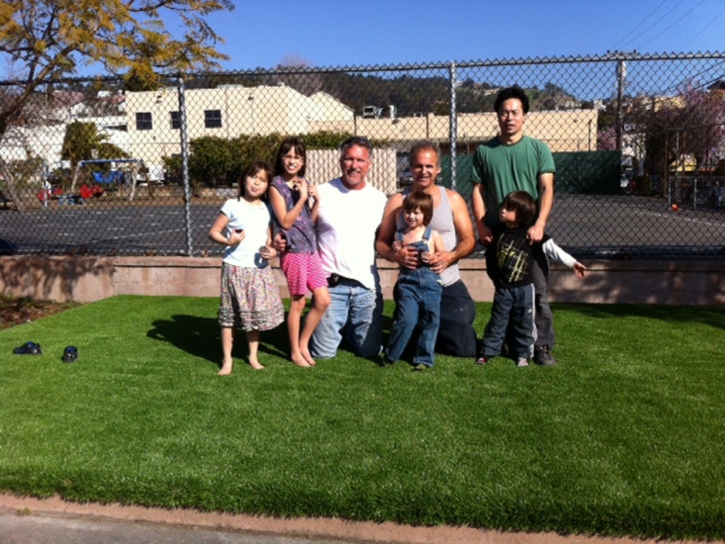 Synthetic Grass Chino Hills, California Landscape Design, Commercial Landscape