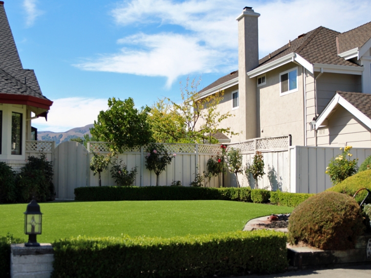 Synthetic Grass Cost Bell Gardens, California Design Ideas, Front Yard Design