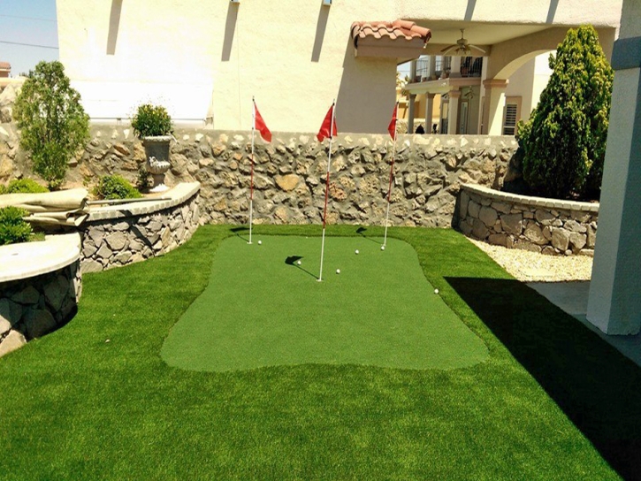 Synthetic Grass Cost Carpinteria, California Backyard Playground, Backyard Designs