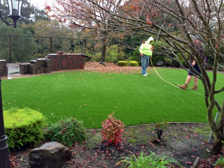 Synthetic Grass Cost East La Mirada, California Design Ideas, Backyard Design