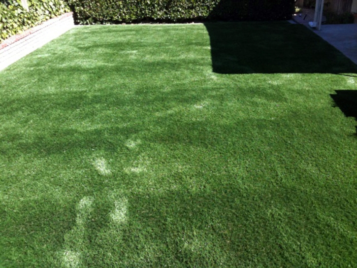 Synthetic Grass Cost La Habra Heights, California Watch Dogs, Backyard Landscape Ideas