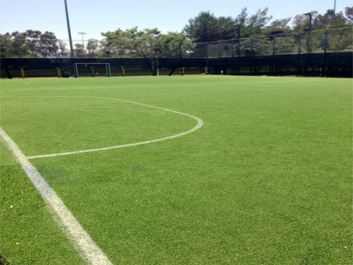 Synthetic Grass Cost Quartz Hill, California Stadium