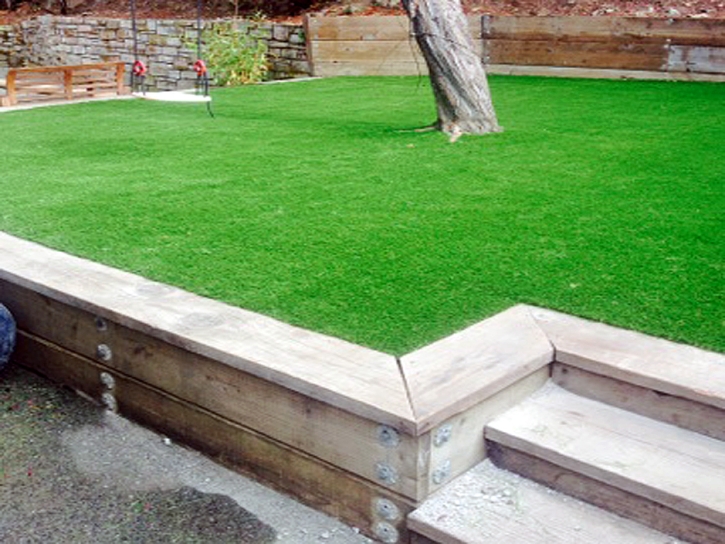 Synthetic Grass Cost Redondo Beach, California Landscape Ideas, Backyard Ideas