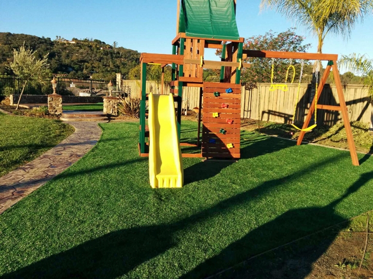 Synthetic Grass Cost Santa Susana, California Playground, Backyard Designs