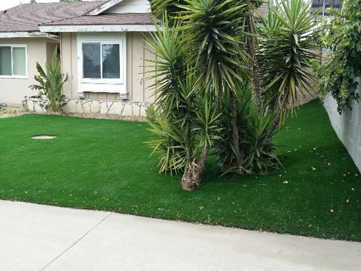 Synthetic Grass Cost South Gate, California Backyard Deck Ideas, Front Yard Landscaping Ideas