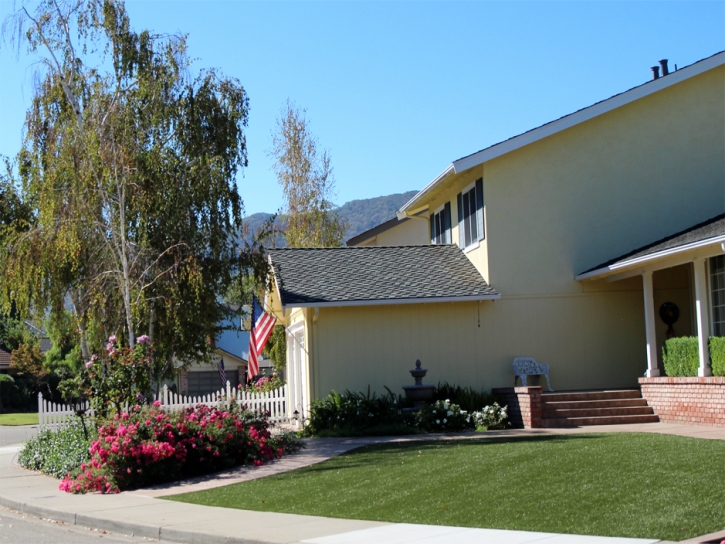 Synthetic Grass Cost South Pasadena, California Landscape Design, Front Yard Ideas