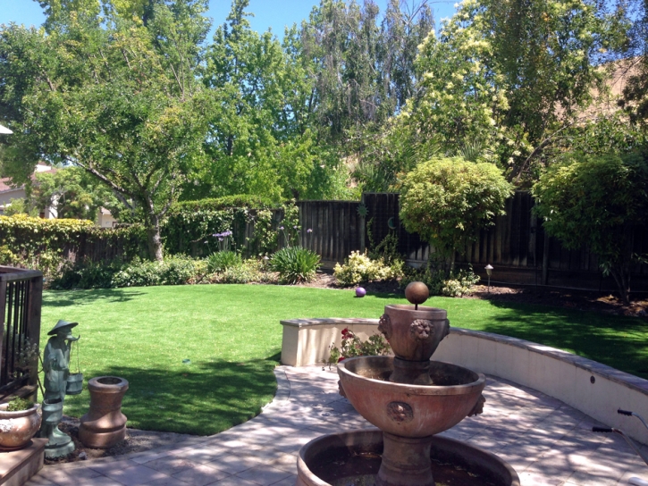 Synthetic Grass Cost South Taft, California Backyard Playground, Backyard Design