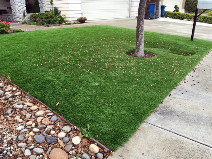 Synthetic Grass Cost Taft Heights, California Landscaping Business, Front Yard Landscaping