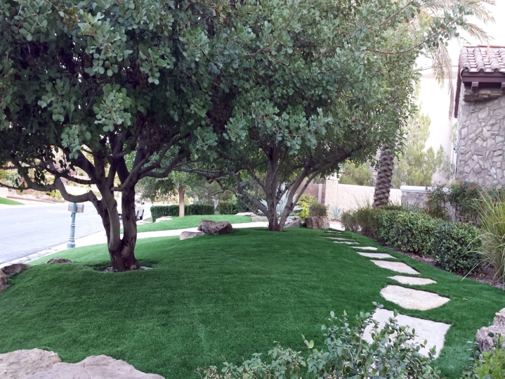 Synthetic Grass Cost Villa Park, California Home And Garden, Front Yard Ideas