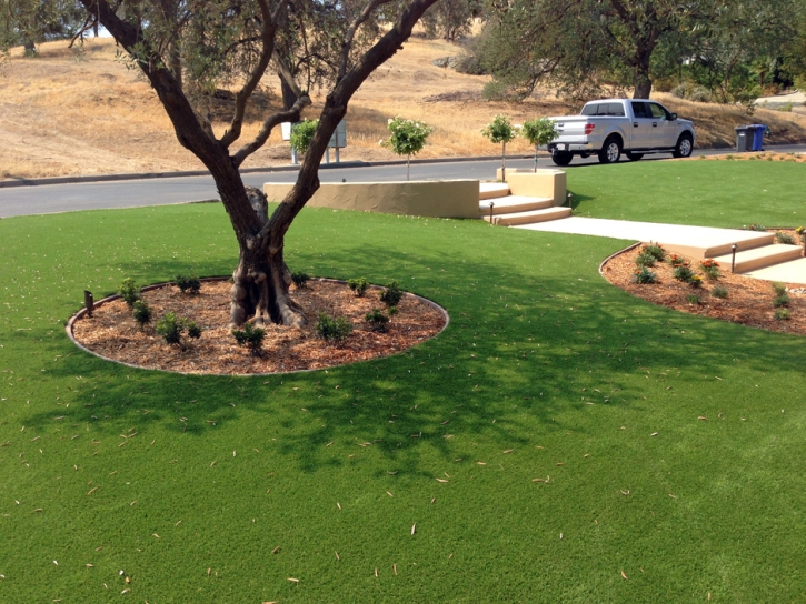 Synthetic Grass Cost West Hills, California Roof Top, Small Front Yard Landscaping