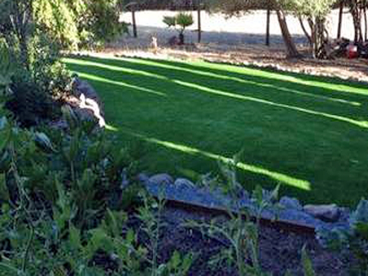 Synthetic Grass Cost Westwood, California Landscape Design, Backyard Ideas