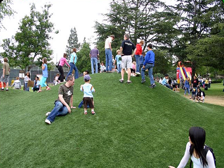 Synthetic Grass Glendale, California Landscape Photos, Recreational Areas