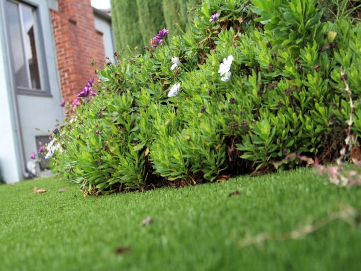 Synthetic Grass Santa Ynez, California Backyard Playground, Small Front Yard Landscaping