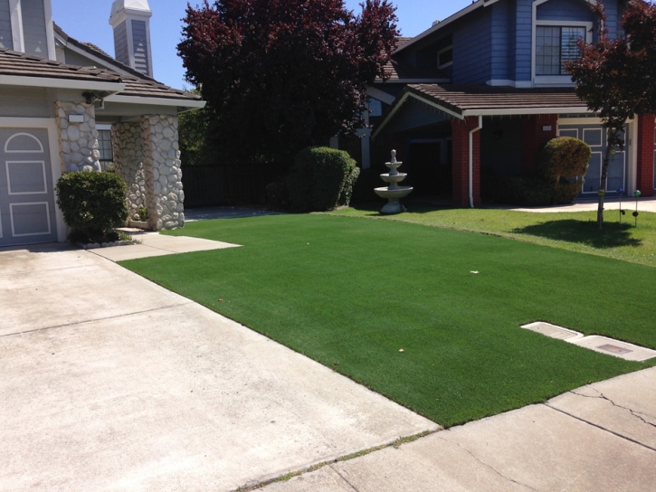 Synthetic Grass Signal Hill, California Garden Ideas, Front Yard Landscaping