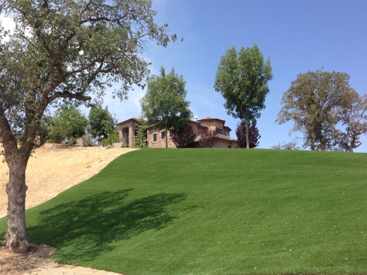 Synthetic Grass Temple City, California Rooftop, Landscaping Ideas For Front Yard