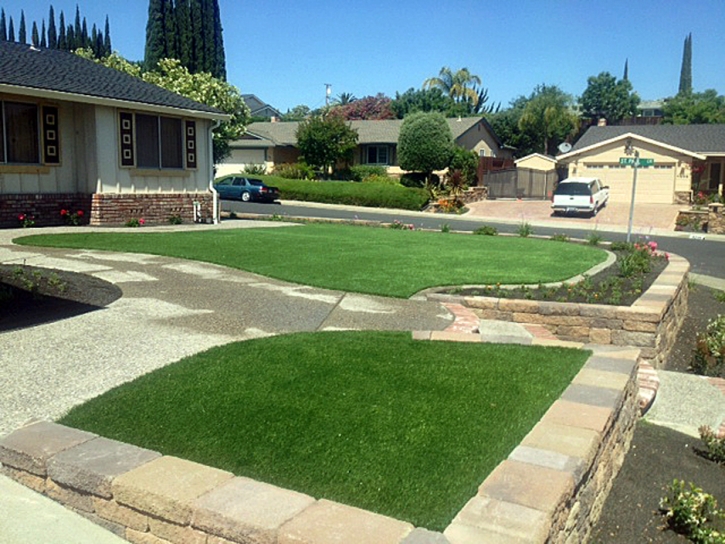 Synthetic Grass Tustin, California Garden Ideas